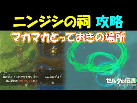 【ティアキン】ニンジシの祠の場所と宝箱の取り方｜ラウルの祝 